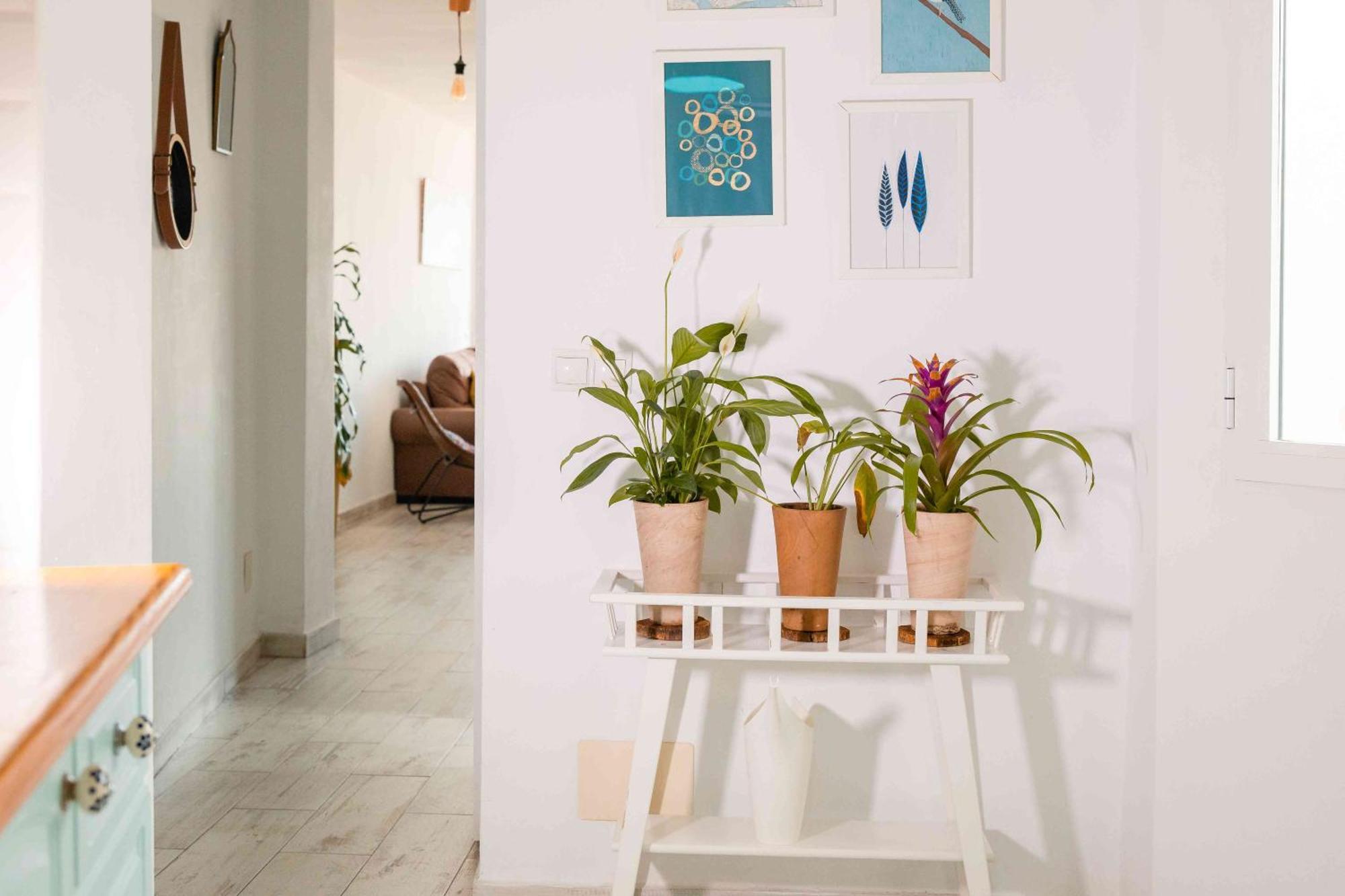 Atico Deluxe En El Centro By Lets Malaga Apartman Kültér fotó
