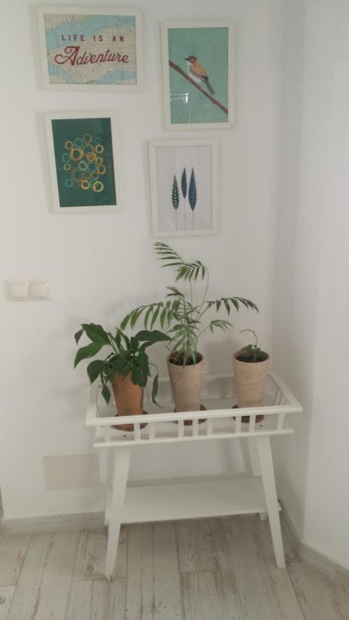 Atico Deluxe En El Centro By Lets Malaga Apartman Kültér fotó